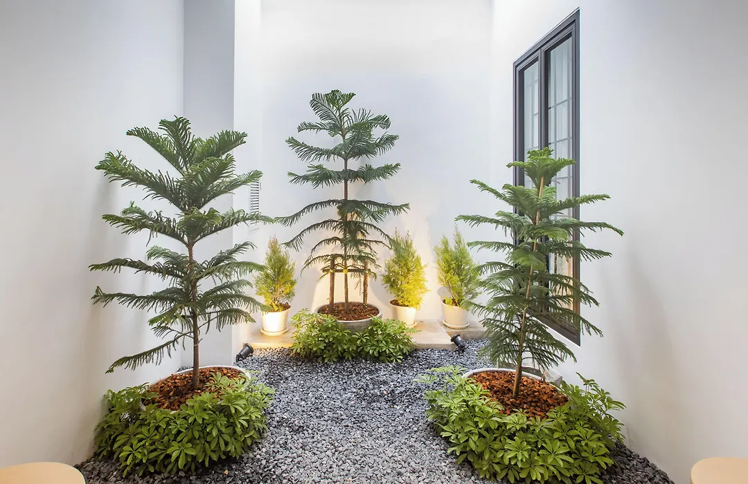 The Elements Boutique House-1